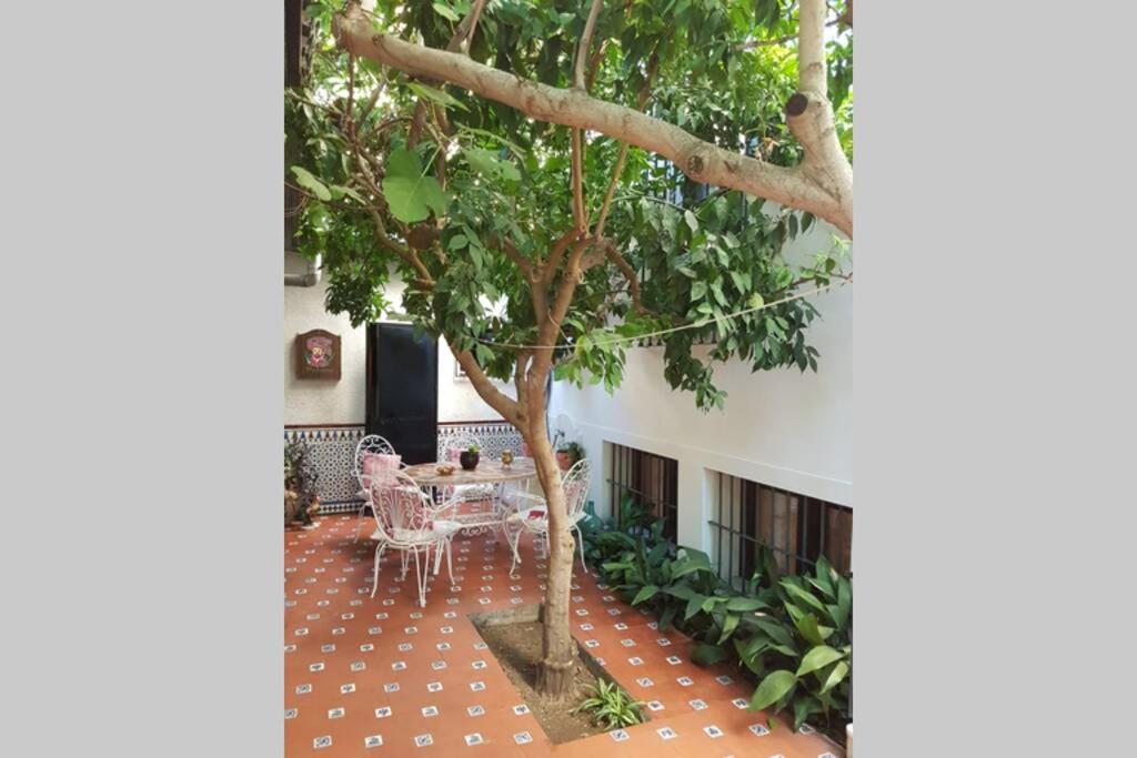 Casa En Granada Con Hermoso Jardin, Parking Calle Ngoại thất bức ảnh